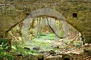 Entrance to Fairyland photo