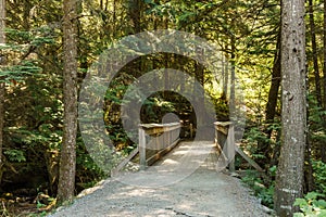 Entrance to the forest in Stawamus Chief Provincial Park British Columbia Canada.