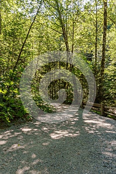 Entrance to the forest in Stawamus Chief Provincial Park British Columbia Canada.