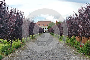 Entrance to the Haller Castle from Ogra. photo