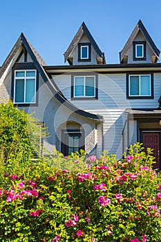 Entrance to a home through a beautiful garden with colorful flowers. Plants and flowers in in a garden