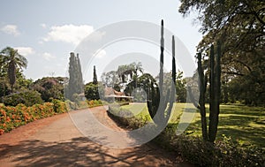 Entrance to Karen Blixen's house, Kenya.