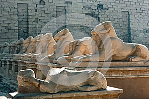 Ancient Egyptian Icons and Symbols of Karnak Temple, Luxor, Egypt