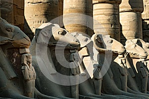 Ancient Egyptian Icons and Symbols of Karnak Temple, Luxor, Egypt