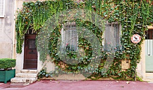 Entrance to old house overgrown with ivy, French Provence