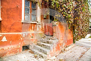 Entrance to the old house overgrown with wild grapes