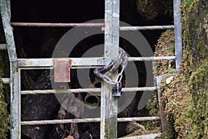 The entrance to an old mine chained and padlocked