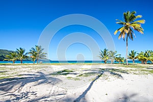 Entrance to one of the most beautiful tropical beaches in Caribbean, Playa Rincon