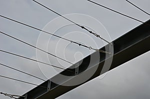 The entrance to the park is enhanced by metal trellises from galvanized gates connected by cables, along which the vines grow and