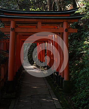 An entrance to a pathwalk in a forest with large orange Torii gates at Fushimi Inari Shrine in Kyoto in Japan