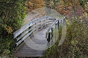 entrance to pedestrian bridge on marsh trail (nature preserve hike) scenic hiking, walking path in autumn