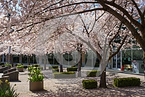 Entrance to Port Moody city hall and library