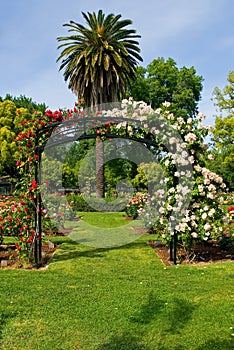 Entrance to rose garden