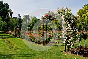 Entrada sobre el rosas jardín 