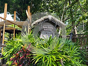 The entrance to the Swiss Family Robinson Treehouse in Magic Kingdom in Disney World Orlando, Florida