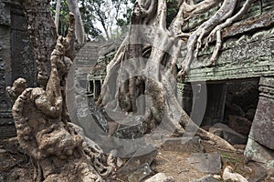 Entrance to Temple Ta Prohm