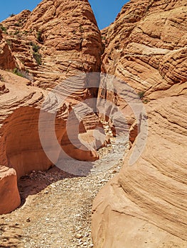 Entrance to Wire Pass Slot Canyon