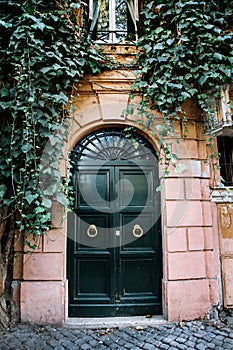 The entrance wooden door covered with green ivy. Rome, Italy.