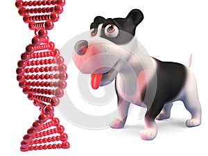 Entranced puppy dog stares at a strand of DNA, 3d render