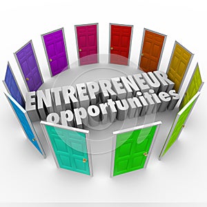 Entrepreneur Opportunities Many Business Paths