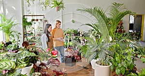 Entrepreneurs in Indoor Plant Shop Discussing Gardening and Small Business Strategy