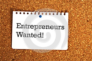 Entrepreneurs wanted