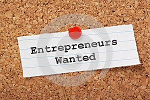 Entrepreneurs Wanted