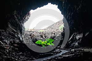 Entry to Cueva de los Verdes, an amazing lava tube and tourist attraction on Lanzarote island, Spain