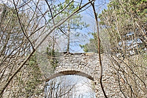 Entry to an old castle ruin in the woods