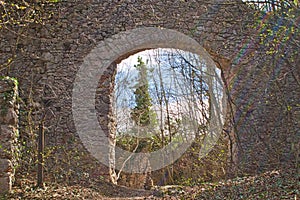 Entry to an old castle ruin in the woods