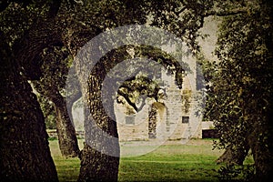 Entryway Ruins to Old Baylor College