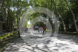 Entryway to the Giardini della Biennale in venice during the Biennale