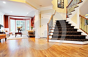 Entryway in Upscale Home