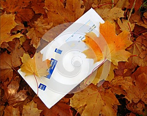 Envelope on autumn foliage