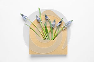 Envelope with beautiful spring muscari flowers