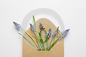 Envelope with beautiful spring muscari flowers on light background