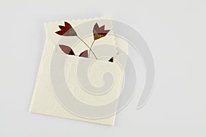 Envelope Card Flower Decorate