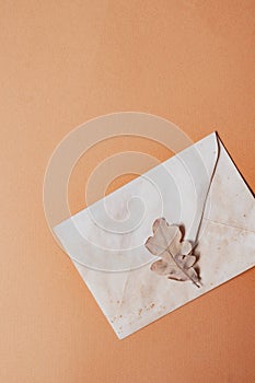 Envelope with oak leaf background with cope space minimalistic mail message communication social media fall vintage occult concept