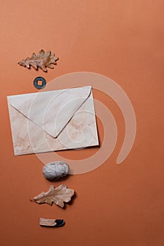 Envelope with oak leaf background with cope space minimalistic mail message communication social media fall vintage occult concept