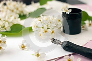 Envelope, paper, white flowers, black ink and fountain pen. Styled feminine desk workspace with white flowers, calligraphy nib