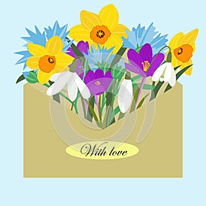 Envelope with spring flowers. Flowers daffodils, snowdrops, cornflowers, crocs in a mail envelope. Postcard for