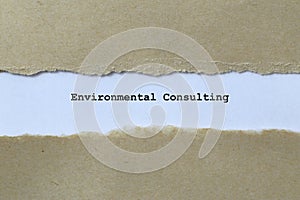 enviromental consulting on white paper