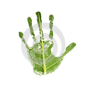 Environment Care Concept. Handprint as Green leaf Texture Surface. Earth Day and Ecology. Sustainable Resources