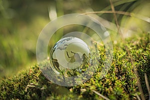 Environment concept, glass globe in the grass