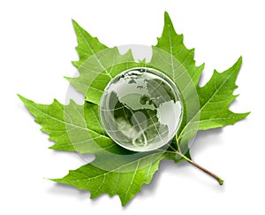 Environment concept, glass globe and green leaf