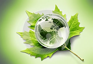 Environment concept, glass globe and green leaf