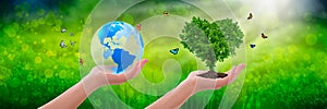 Environment Concept - A hand holding a globe and a hand holding a tree in the form of heart on a green background with butterflies