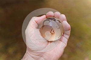 World earth day. Hands are holding a glass planet.