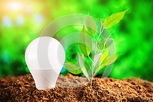 Environment Day, Earth Day. LED light bulb and a young plant in the soil against a background of greenery.