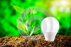 Environment Day, Earth Day. LED light bulb and a young plant in the soil against a background of greenery.